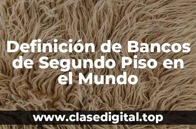 Definición de Bancos de Segundo Piso en el Mundo
