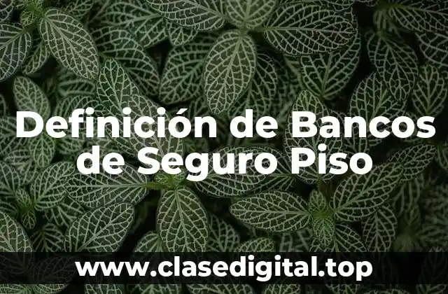 Definición de Bancos de Seguro Piso