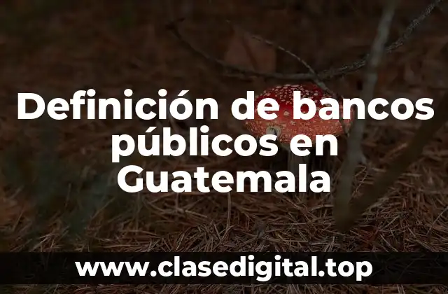 Definición de bancos públicos en Guatemala