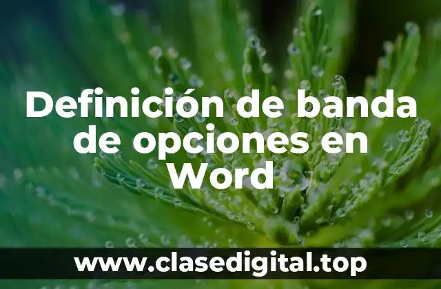 Definición de banda de opciones en Word