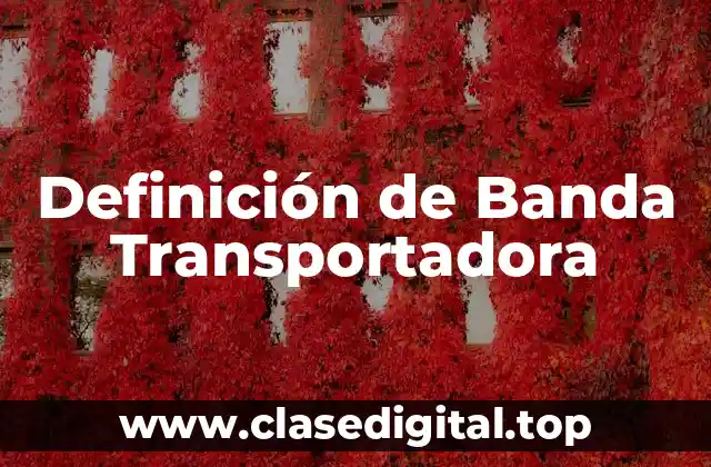 Definición de Banda Transportadora