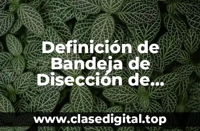 Definición de Bandeja de Disección de Laboratorio