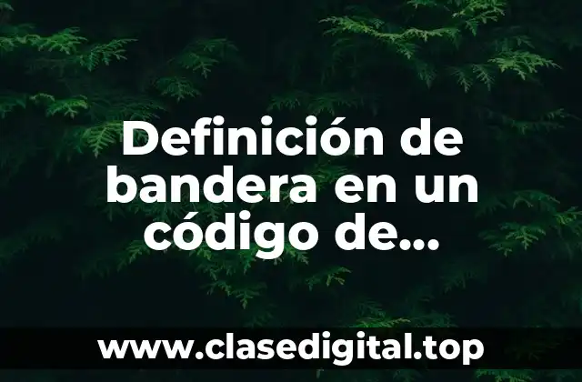 Definición de bandera en un código de programación