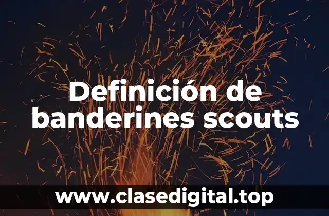 Definición de banderines scouts