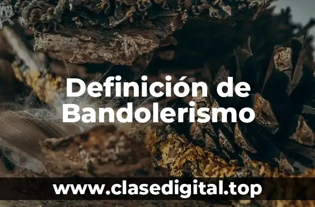 Definición de Bandolerismo