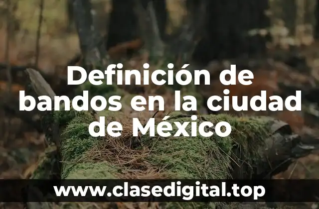 Definición de bandos en la ciudad de México
