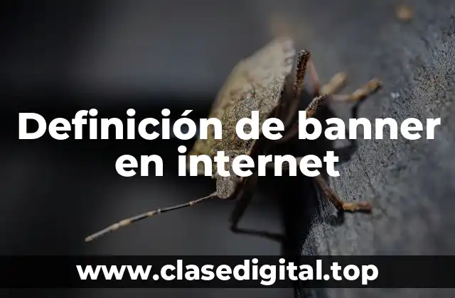 Definición de banner en internet