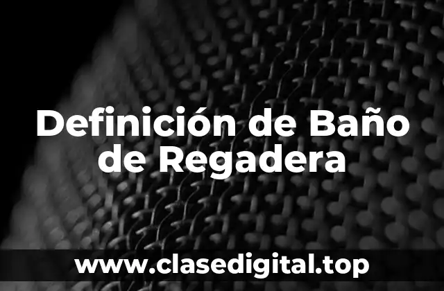Definición de Baño de Regadera