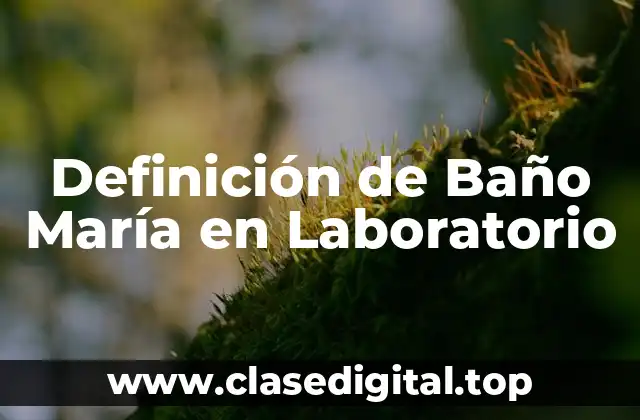 Definición de Baño María en Laboratorio