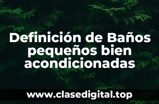 Definición de Baños pequeños bien acondicionadas