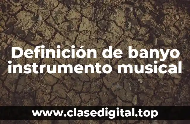 Definición de banyo instrumento musical