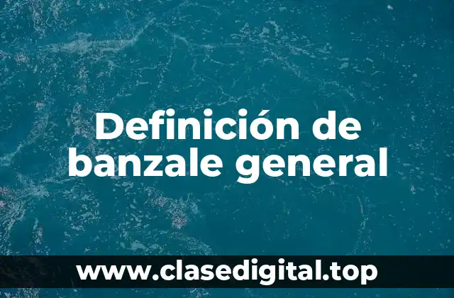 Definición de banzale general