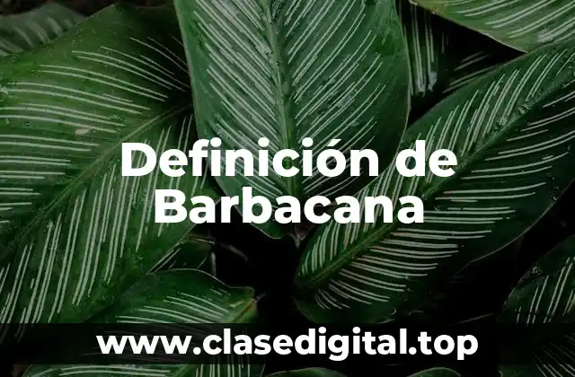 Definición de Barbacana