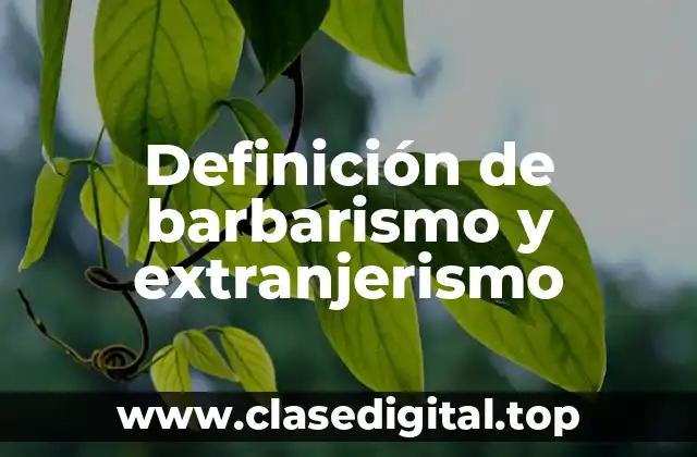 Definición de barbarismo y extranjerismo