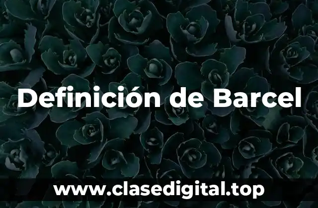 Definición de Barcel