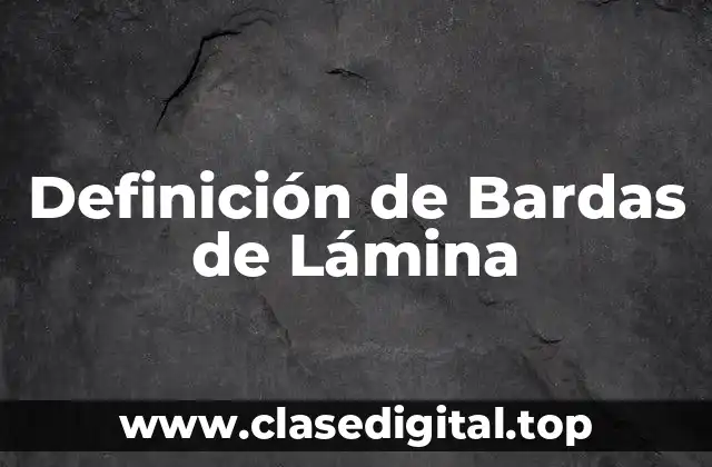 Definición de Bardas de Lámina