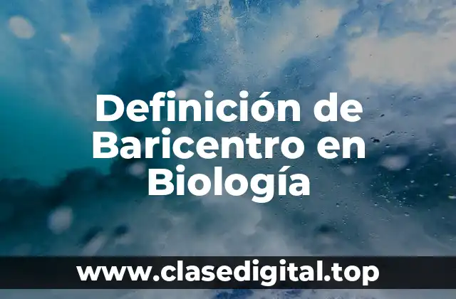 Definición técnica de Baricentro