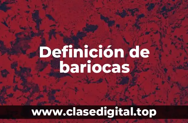 Definición de bariocas