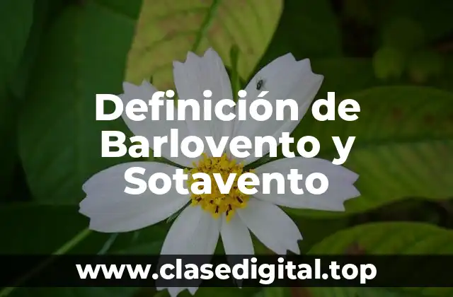 Definición de Barlovento y Sotavento