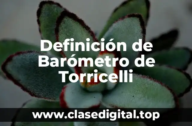Definición de Barómetro de Torricelli