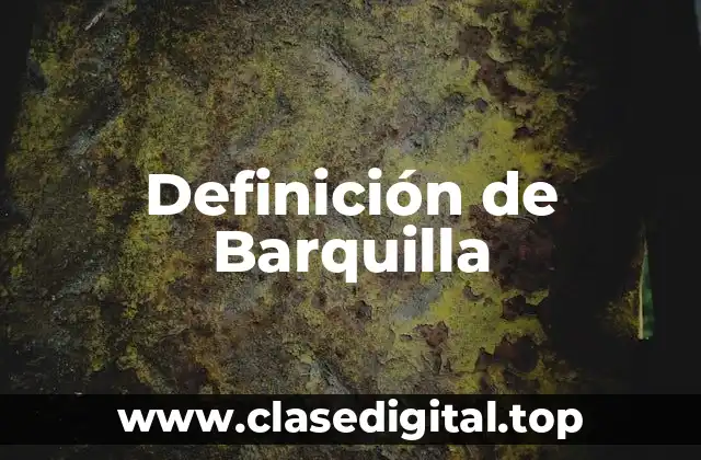 Definición de Barquilla