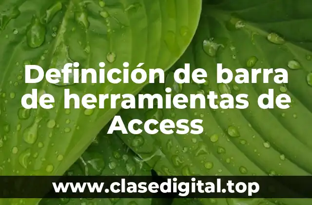 Definición de barra de herramientas de Access