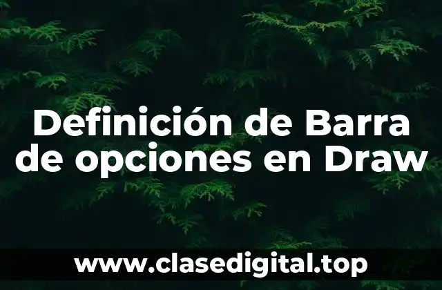 Definición de Barra de opciones en Draw