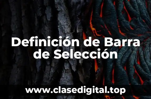 Definición de Barra de Selección