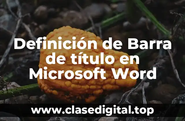 Definición de Barra de título en Microsoft Word