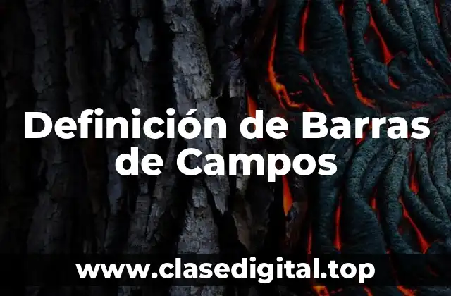 Definición de Barras de Campos