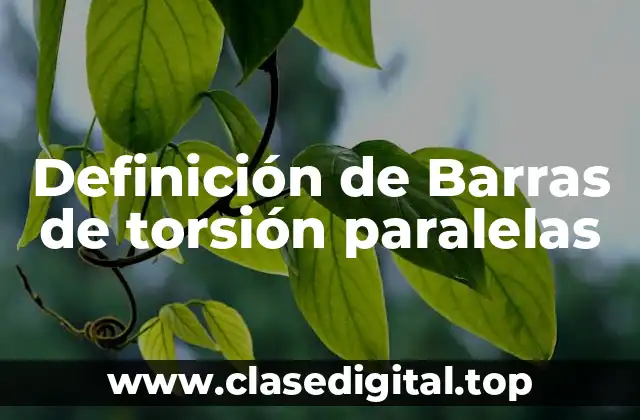Definición de Barras de torsión paralelas