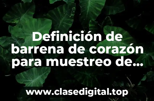 Definición de barrena de corazón para muestreo de suelos