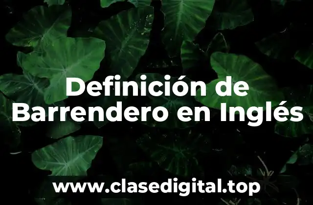 Definición de Barrendero en Inglés