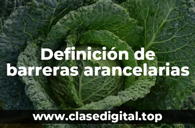 Definición de barreras arancelarias