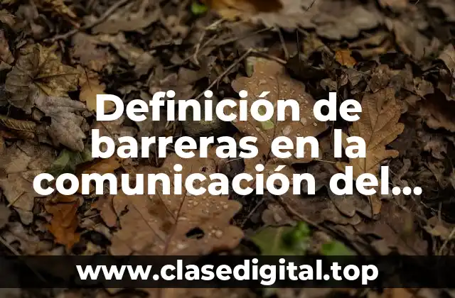 Definición de barreras en la comunicación del mensaje o semióticas