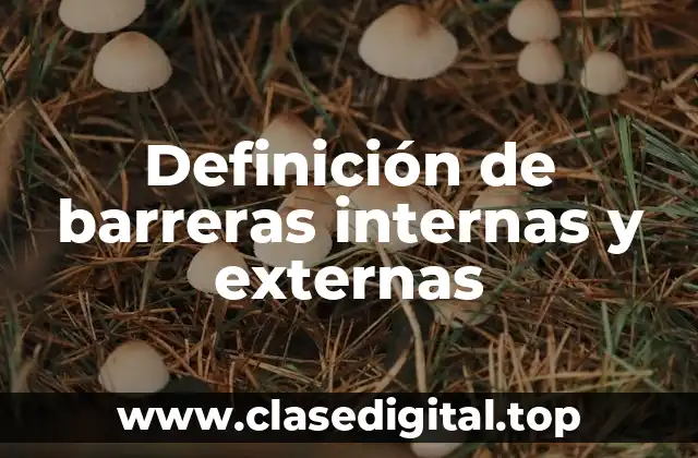 Definición de barreras internas y externas