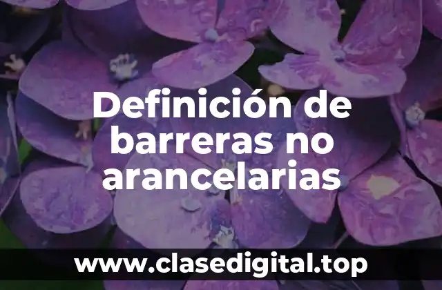 Definición técnica de barreras no arancelarias