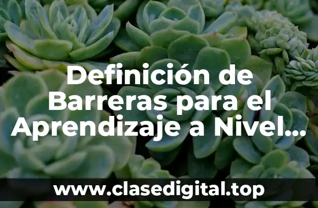 Ejemplos de Barreras para el Aprendizaje a Nivel Aula Escolar