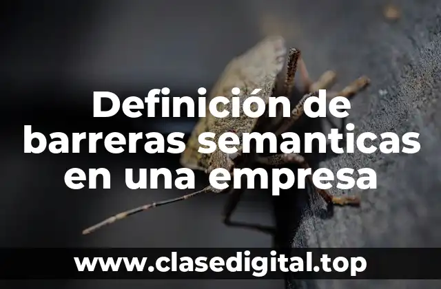 Definición de barreras semanticas en una empresa