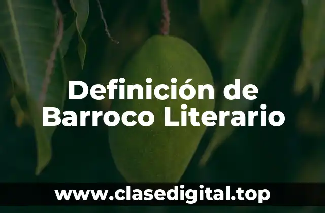 Definición Técnica de Barroco Literario