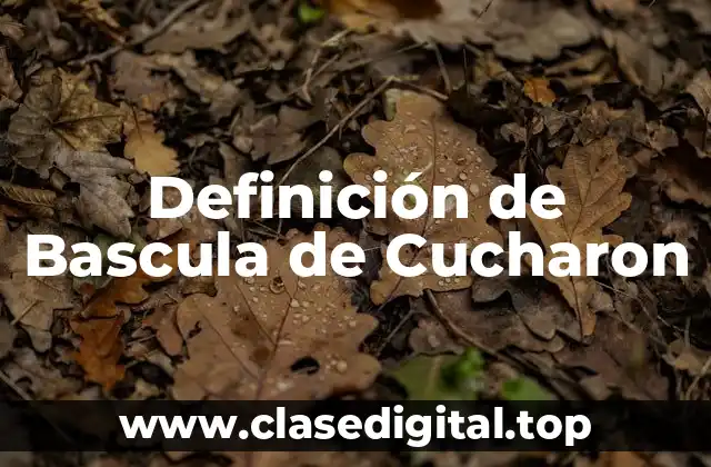Definición de Bascula de Cucharon