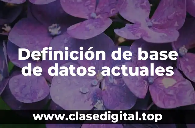 Definición de base de datos actuales