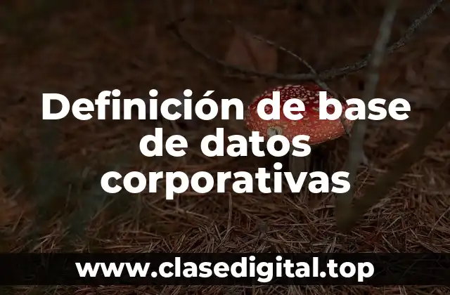 Definición de base de datos corporativas