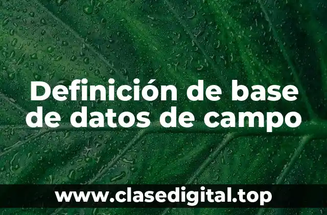 Definición de base de datos de campo