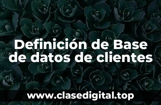 Definición técnica de base de datos de clientes