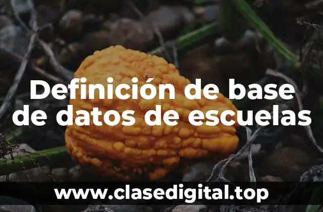 Definición de base de datos de escuelas