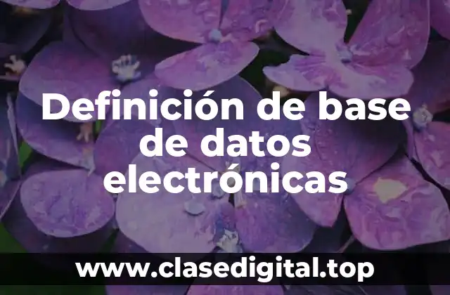 Definición de base de datos electrónicas