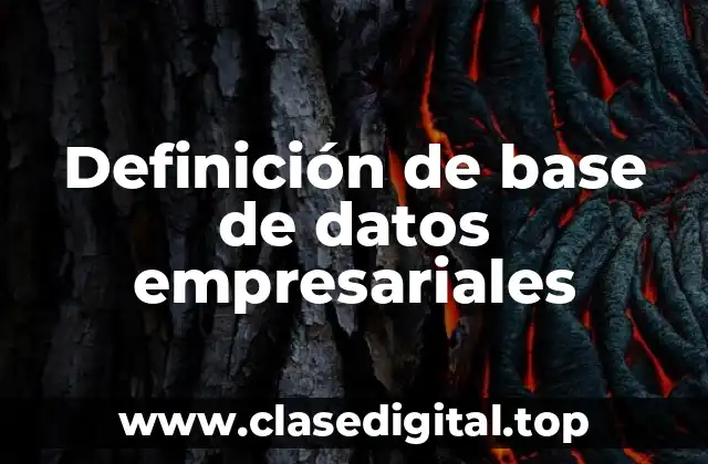 Definición de base de datos empresariales