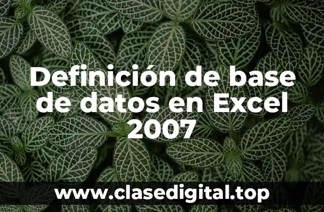 Definición de base de datos en Excel 2007