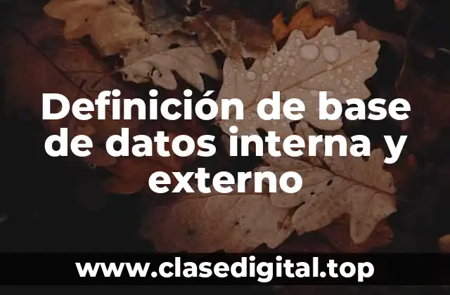 Definición de base de datos interna y externo